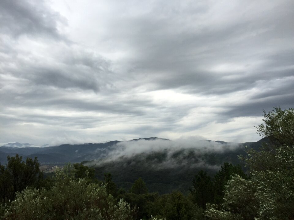 Clouds mountain top forest