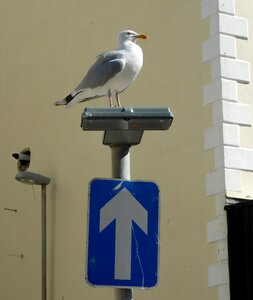 One-way road city photo