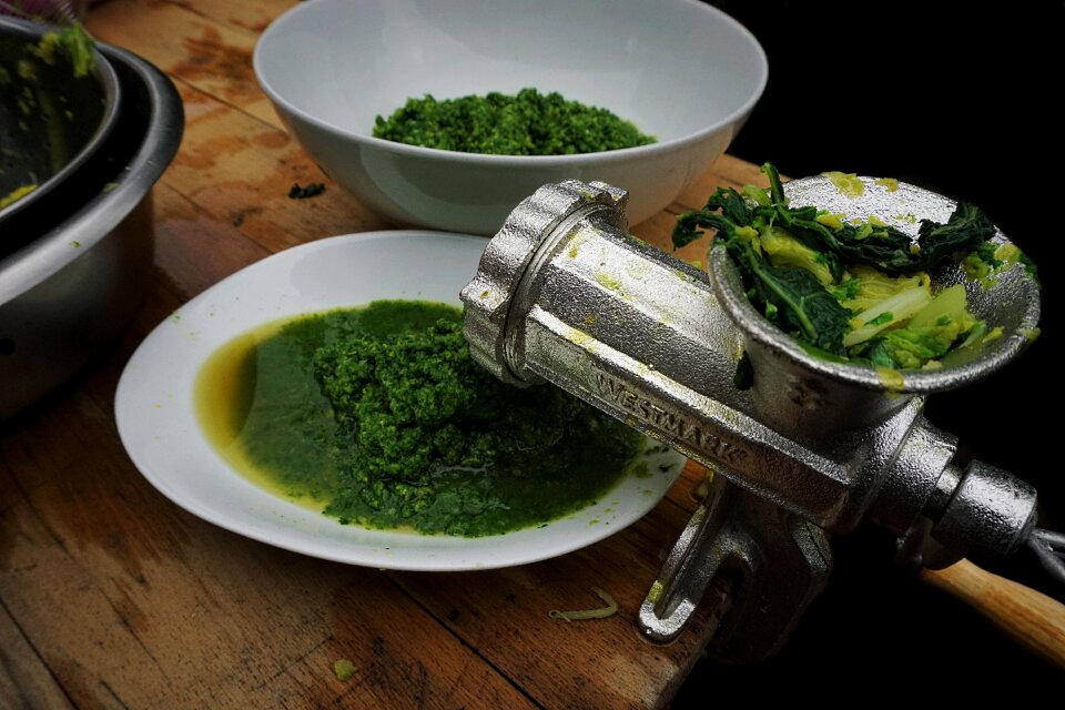 Healthy savoy cabbage eat