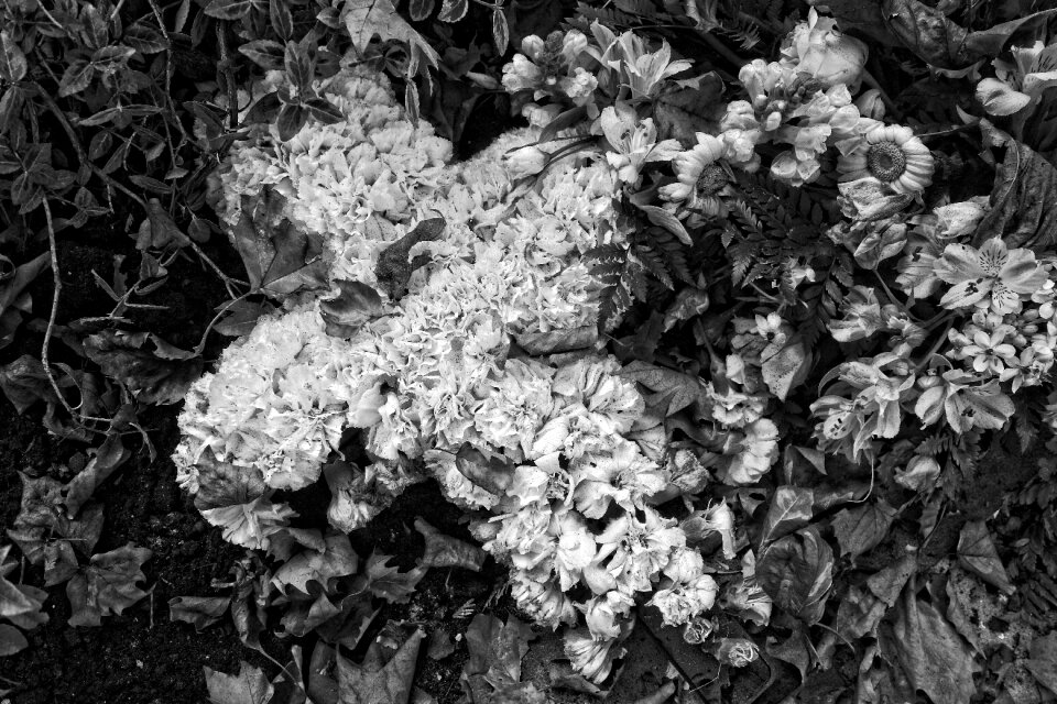 Funeral flowers bouquet tribute