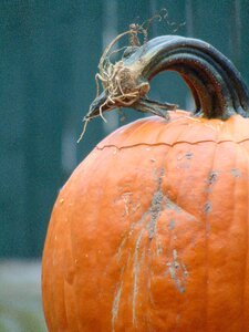 October orange holiday