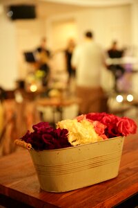 Cup flowers concert
