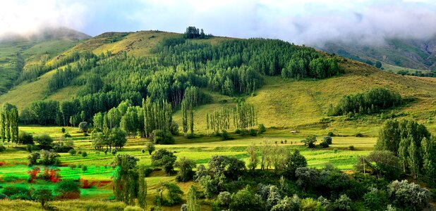 Landscapes nature sky grass photo