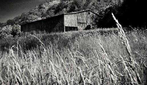 Black farm rural photo
