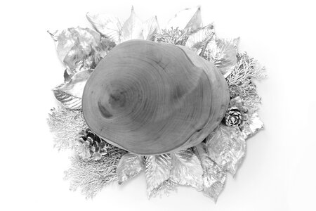 White background wood