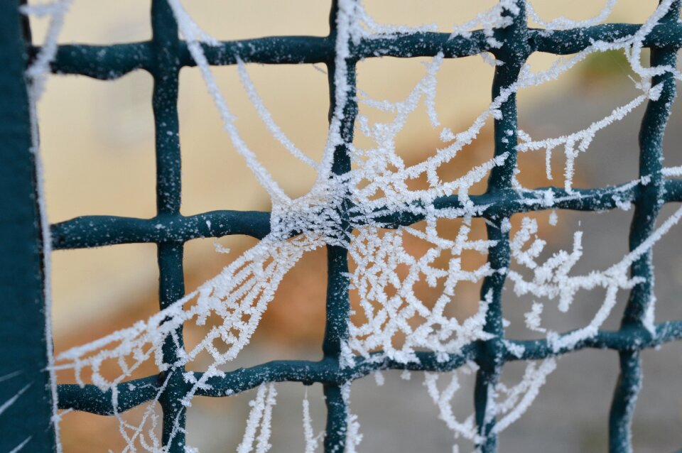 Cold winter landscape ice photo