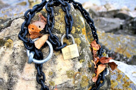 Moss rock www