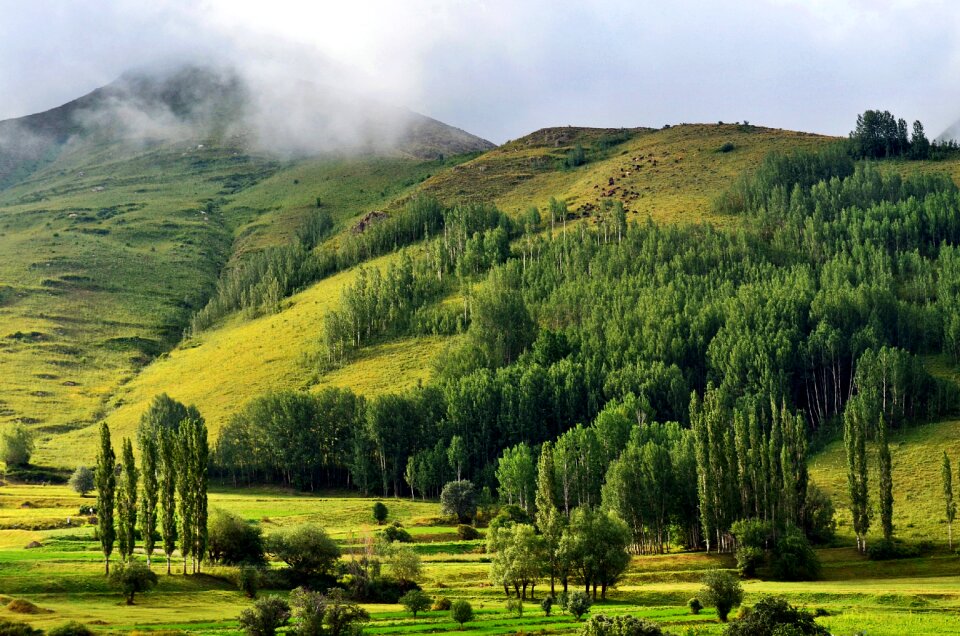 Landscapes nature sky grass