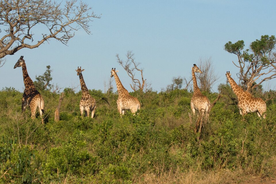 South africa national park tourism