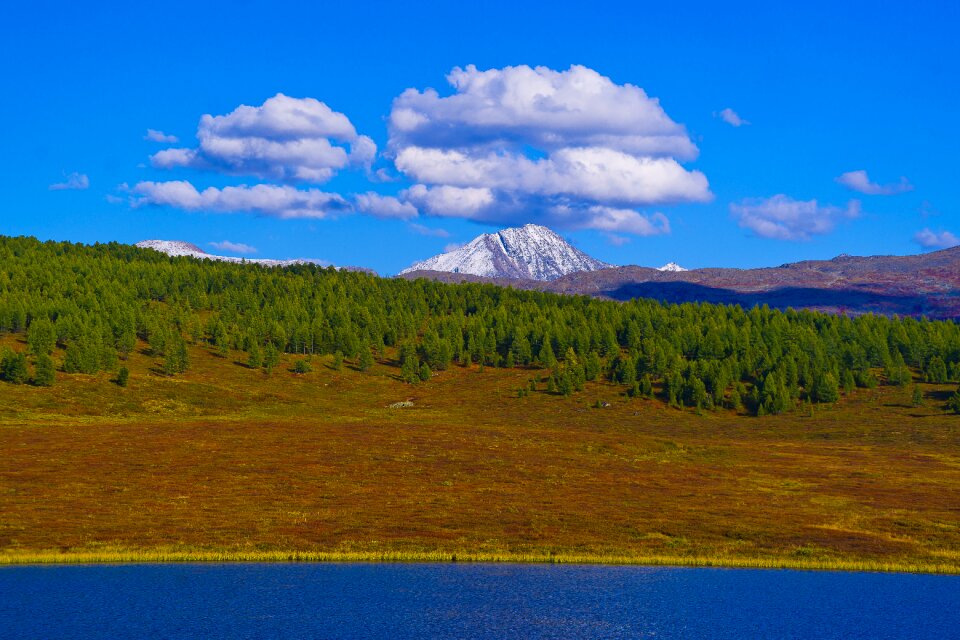 Beautiful landscape forest photo