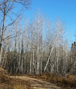 Nature season landscape photo