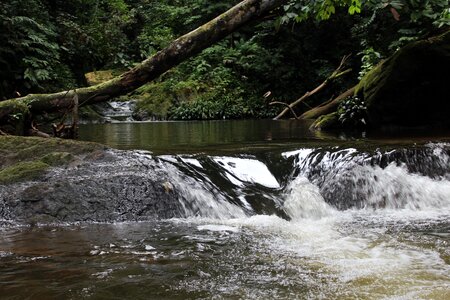 Nature falls rocks photo