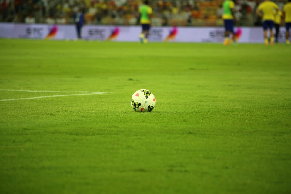 Sport grass stadium