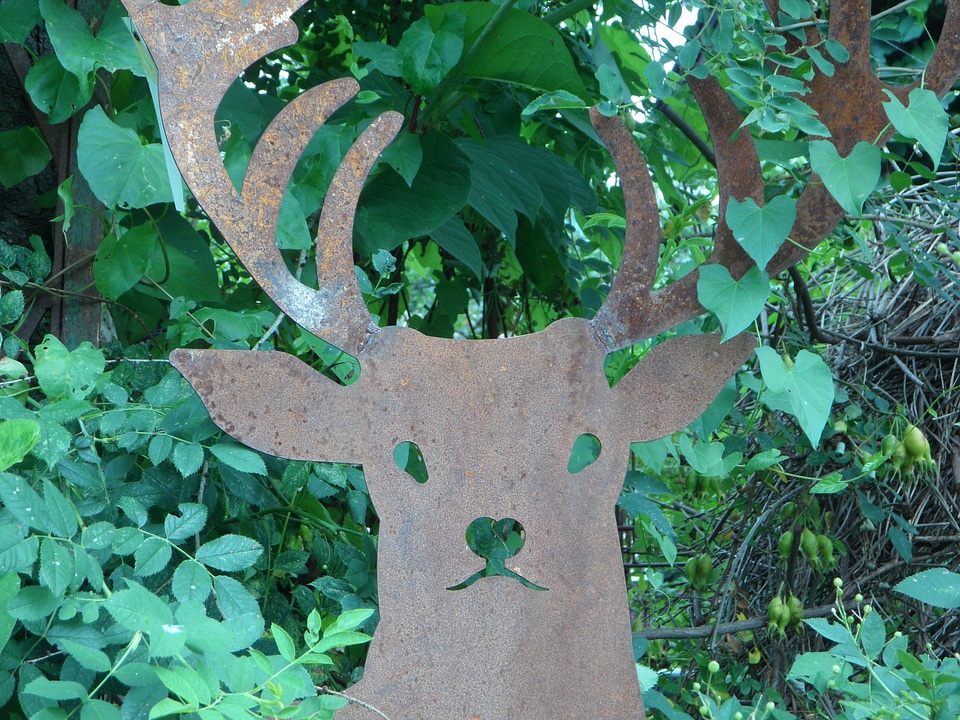 Deco nature out