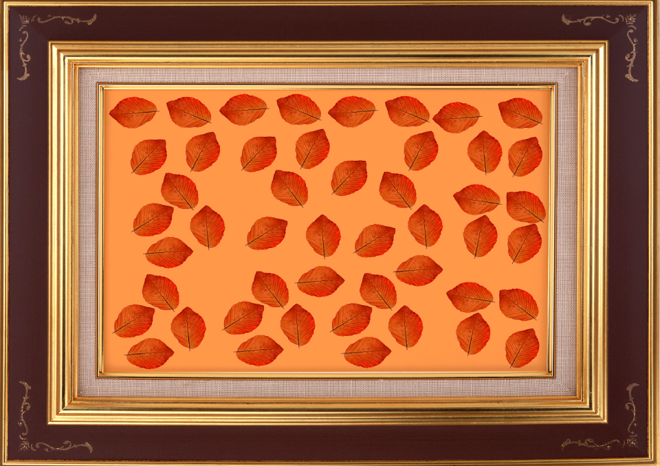 Frame pictures door picture