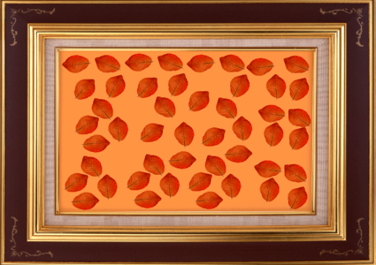 Frame pictures door picture