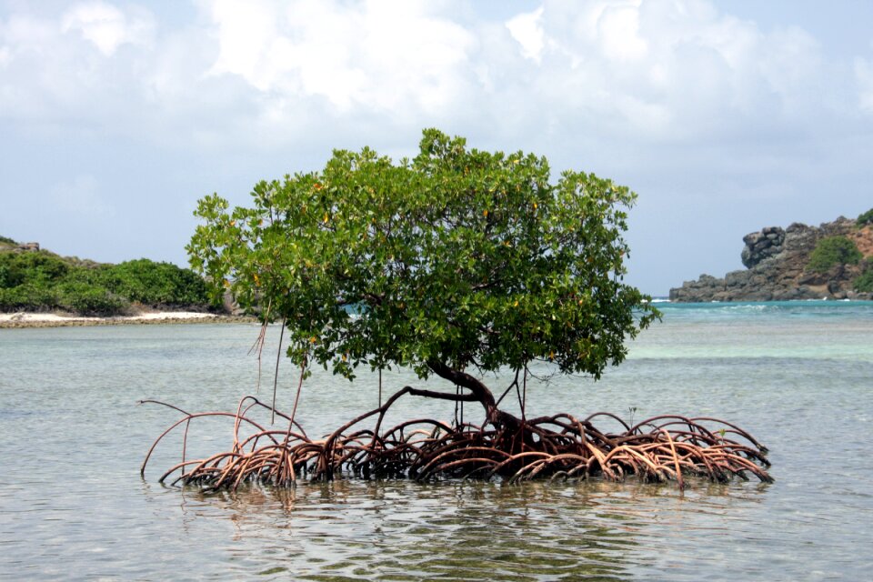 Water tortola jost van dyke