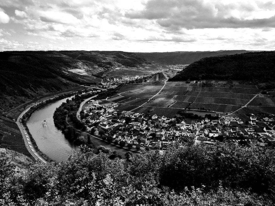 Bruttig mosel vineyards