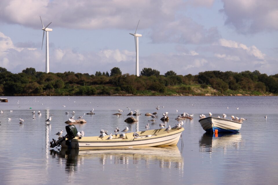Sea wind turbines coastline