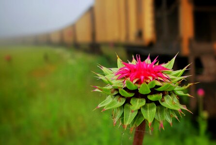 Locomotives rail rusty