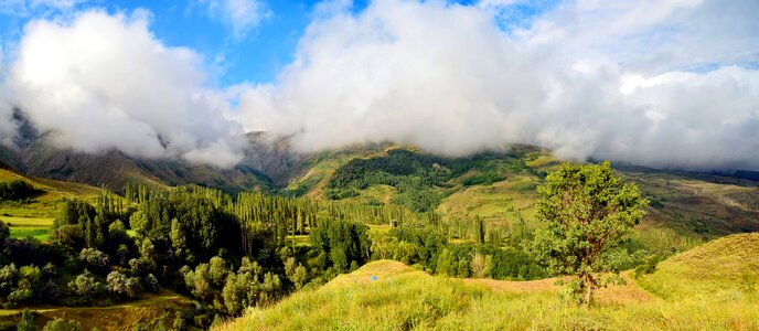 Landscapes nature sky grass