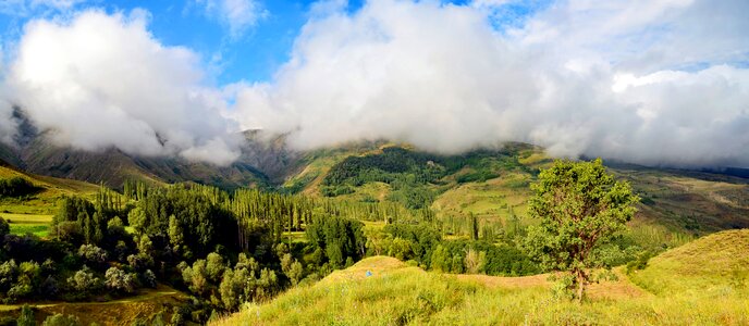 Landscapes nature sky grass photo