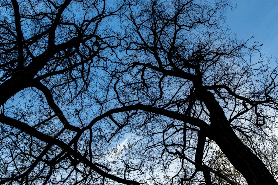 The sky blue contrast