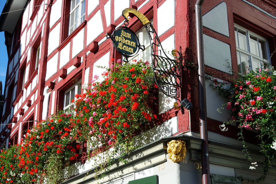 Historically facade town home