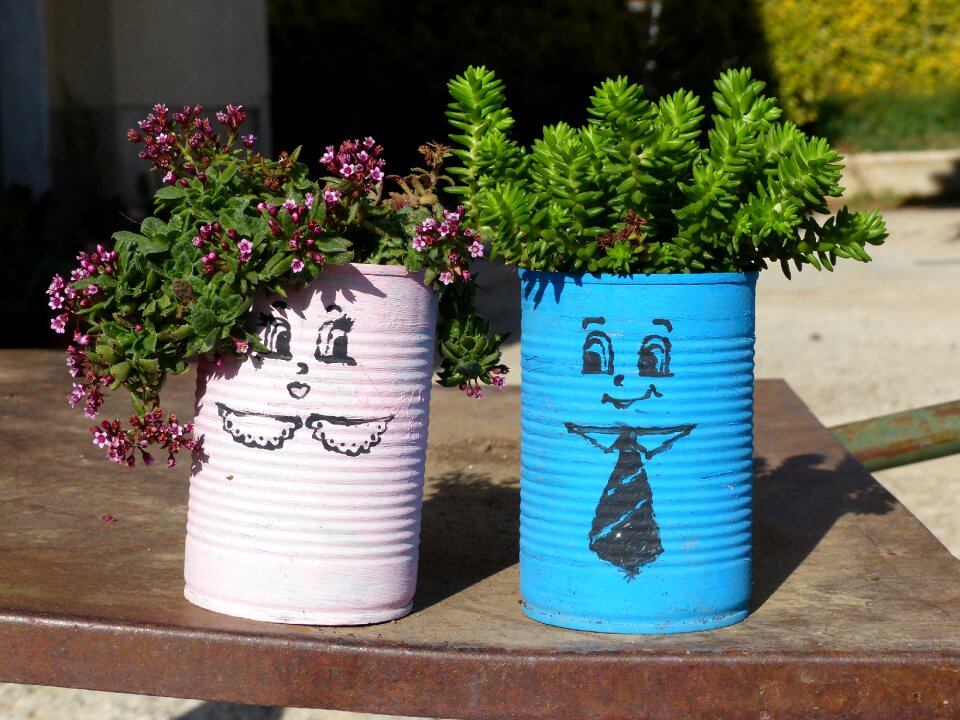 Fat plants green vase