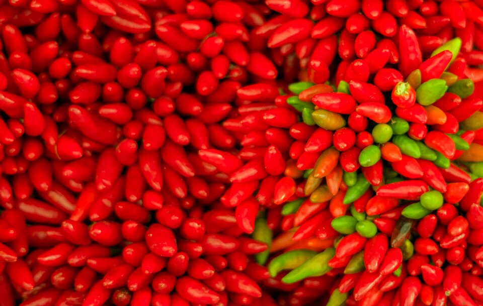 Paprika sharp vegetables