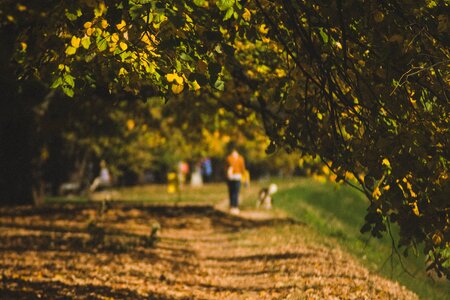 Fall nature park