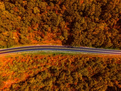 Highway aerial autumn photo