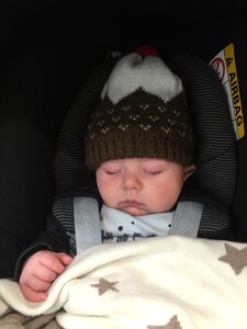 Asleep winter