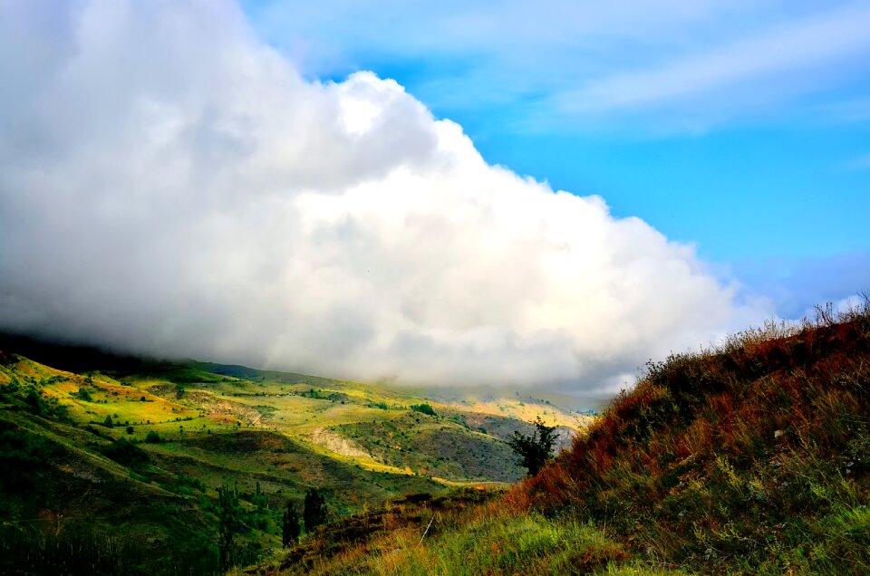 Landscapes nature sky grass