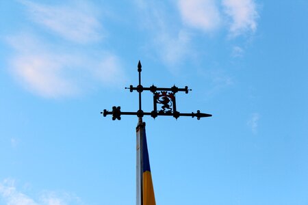 Symbol the mast lions