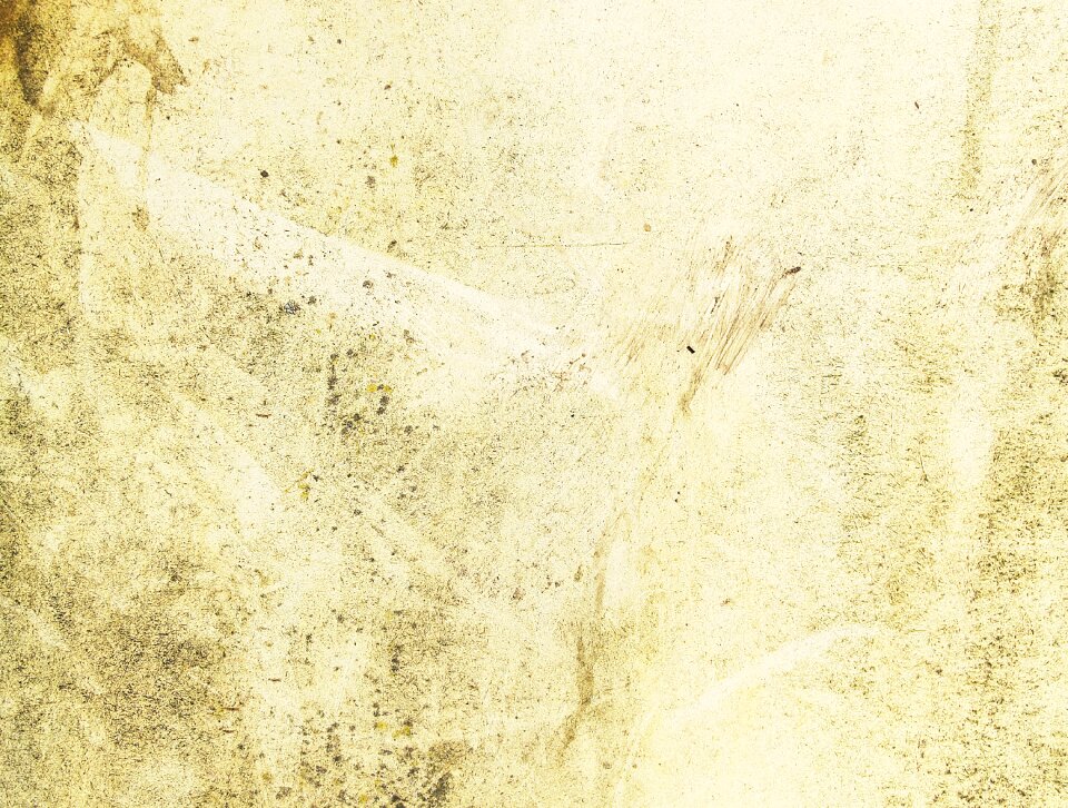 Texture background grunge
