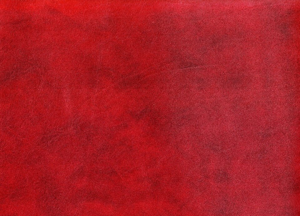 Skin cowhide luxury