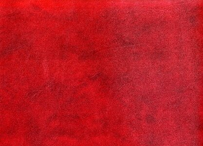 Skin cowhide luxury