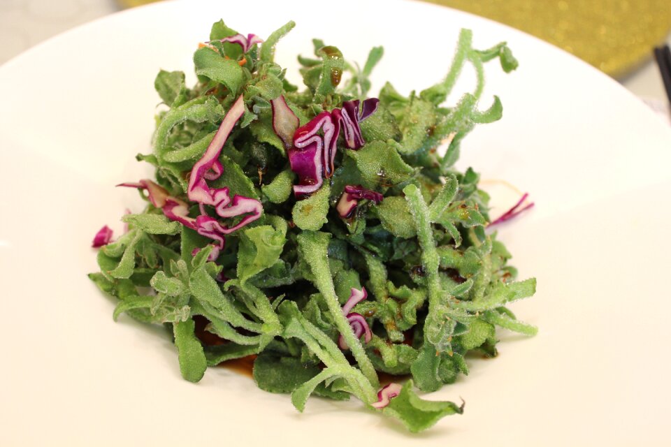 Salad meal healthy