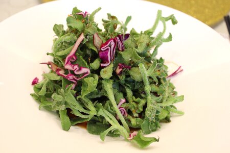 Salad meal healthy photo