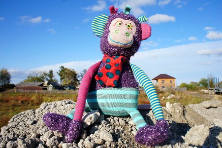 Toy monkey autumn