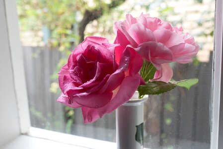 Bloom pink bouquet