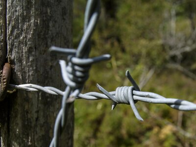 Wire barbed security photo