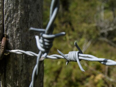 Wire barbed security