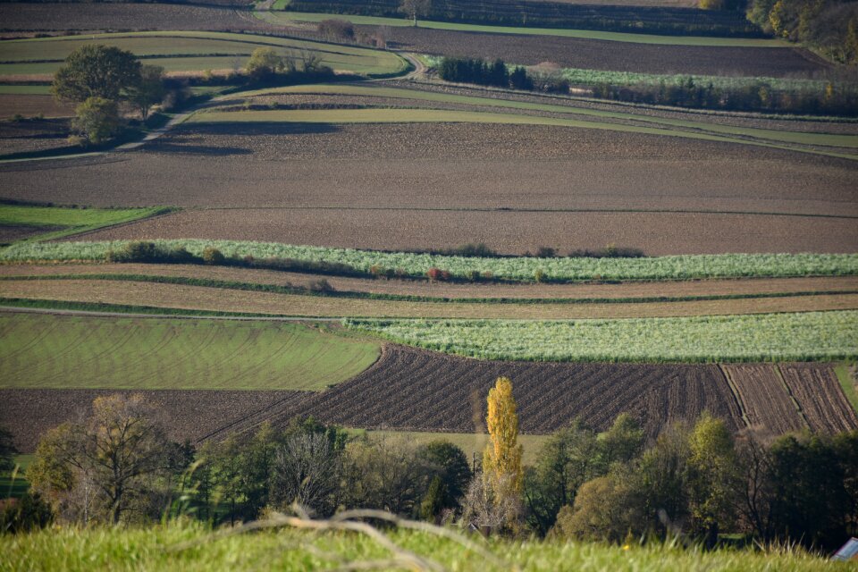 Agriculture wide Free photos