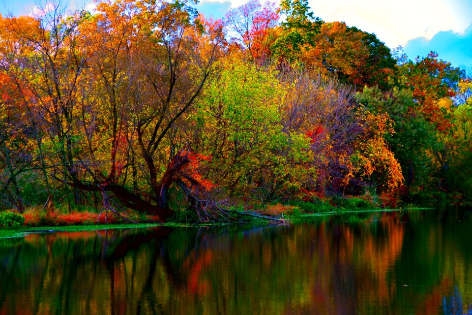 Fall autumn leaves fall leaves background