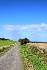Sky summer fields