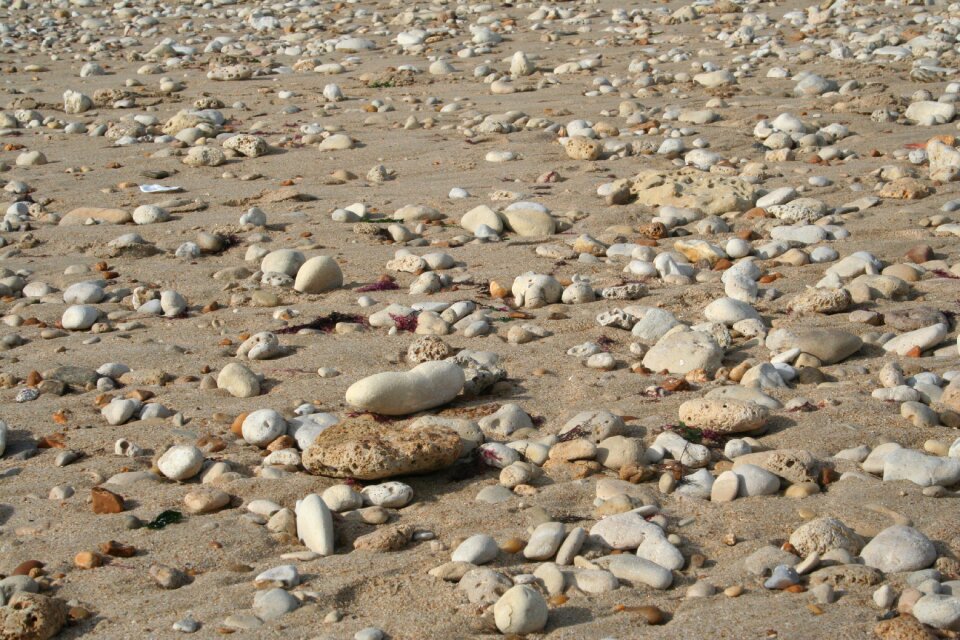 Pebbles shells beach