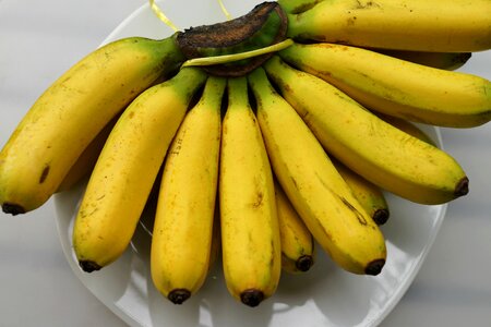 Tropical fresh natural