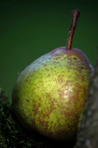 Juicy fruit peer